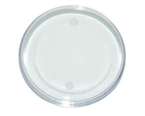 BASE REDONDA 7CM C/ 6 PEÇAS TRANSPARENTE